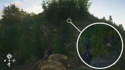 至高の宝箱80場所