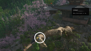 如意輪寺（アサクリ）の紙片の場所1