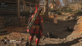 【揺れる心】お市（沖島）の居場所