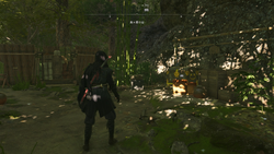 至高の宝箱33場所