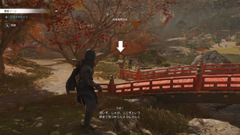 孔雀の居場所