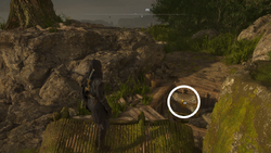 至高の宝箱38場所