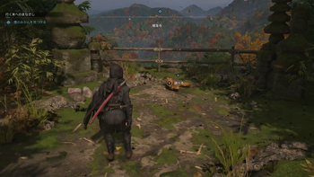 狸のみかんの居場所