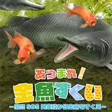 Atsumare kingyo pk.webp