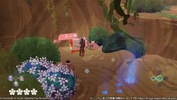 こもれび広場の宝箱