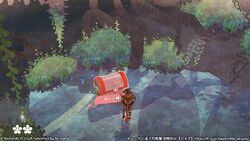 みどりの楽園の宝箱