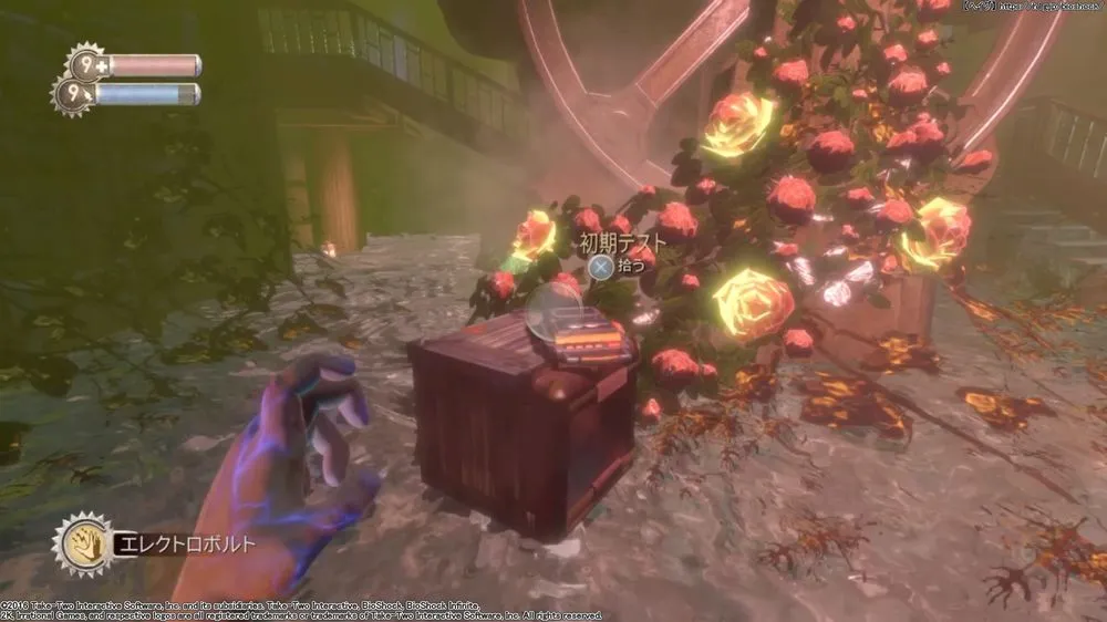 ダイアリー／ダイアリー （49）.webp