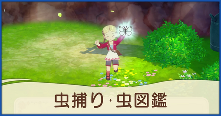 虫捕り方法と虫一覧（虫図鑑）