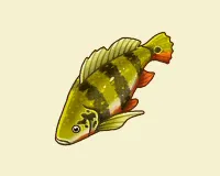 ピーコックバス