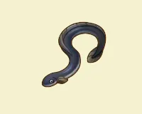 ウナギ