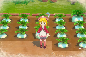 農作についての画像