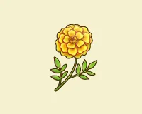 マリーゴールド