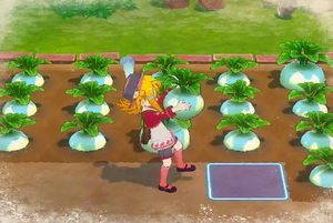 農作についての画像