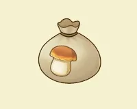 ポルチーニ種菌