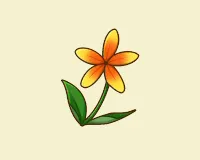 ムーンドロップ草