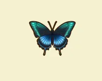 ミヤマカラスアゲハ