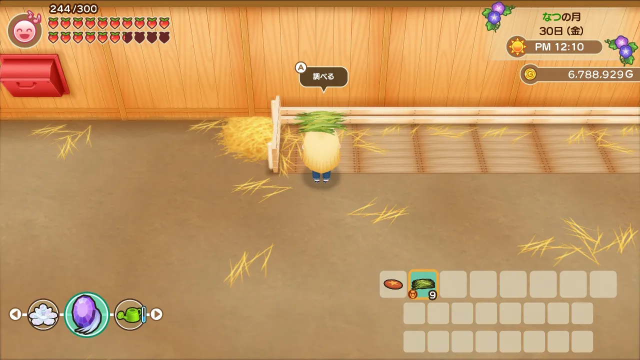 アルパカのエサやり2