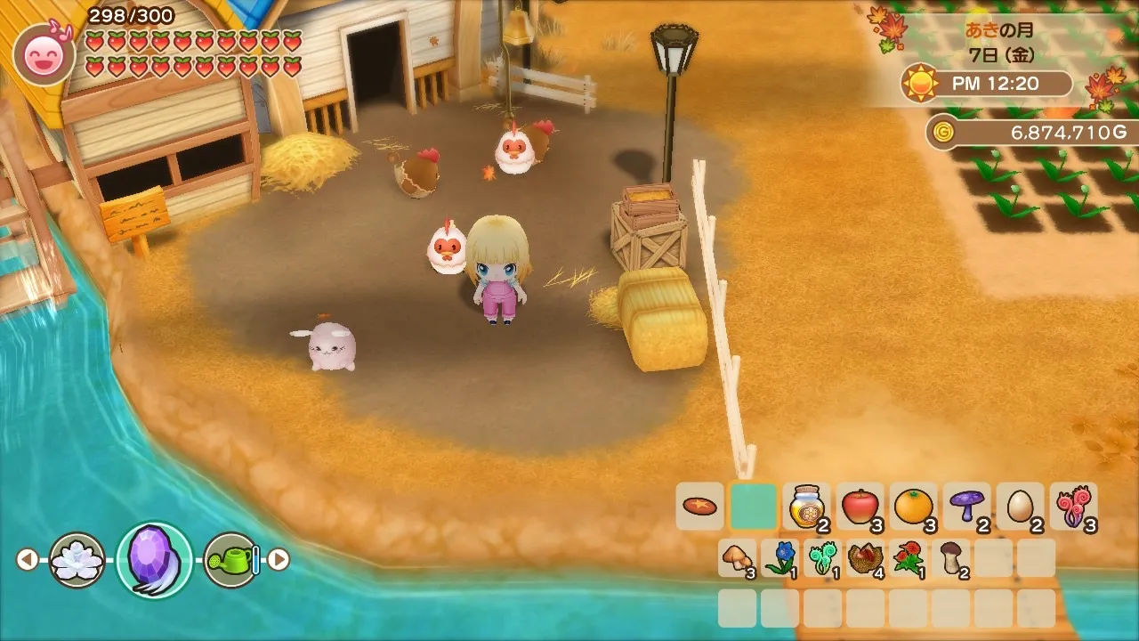 アンゴラウサギの放牧