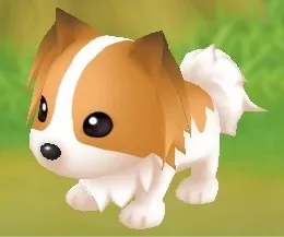 パピヨン パピヨン