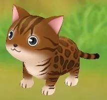 ベンガル ベンガル