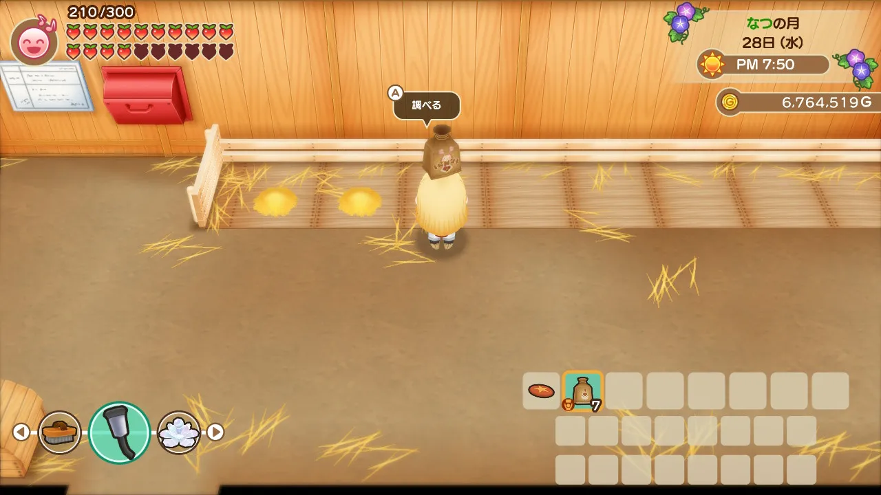 ニワトリのエサやり3