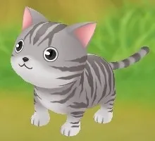 アメリカンショートヘアー アメリカンショートヘアー