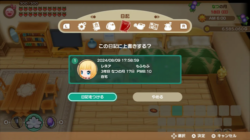 セーブデータの確認