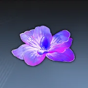 メッセージラン