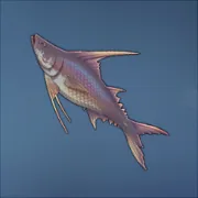 レグナスアンゴイ