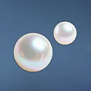 ギルミー秘蔵の真珠