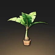 羽状の葉の青い鉢植え・その2