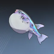 タイリクシマフグ