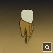 トレーニングウェア・ガントレット