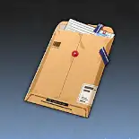 カナミア変革派