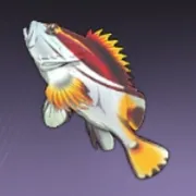 クジャクカサゴ