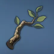 しなやかな木の枝