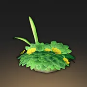 妖精の綿毛の花房