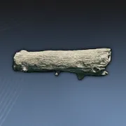 古い木の切り株