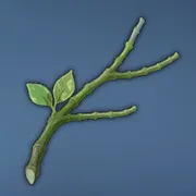 発達した植物の茎