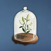 大切なウミユリ