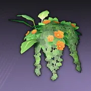 赤色の花房の鉢植え