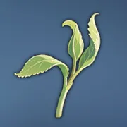 シャキシャキした植物の茎