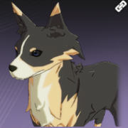 ライトドッグ・密雲