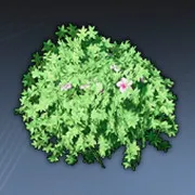 紫色の花房の鉢植え