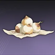 チューリップの種