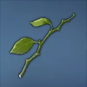 節くれだった植物の茎