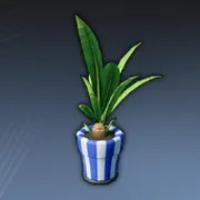 しま模様の鉢植え