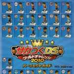 サカつくDS ワールドチャレンジ2010 パーフェクトガイド