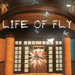 Life of Fly (XboxOne)