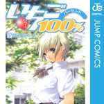 いちご100％ 17 (JC／マンガ)